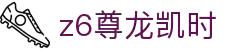 Z6尊龙·凯时(中国) - 官方网站